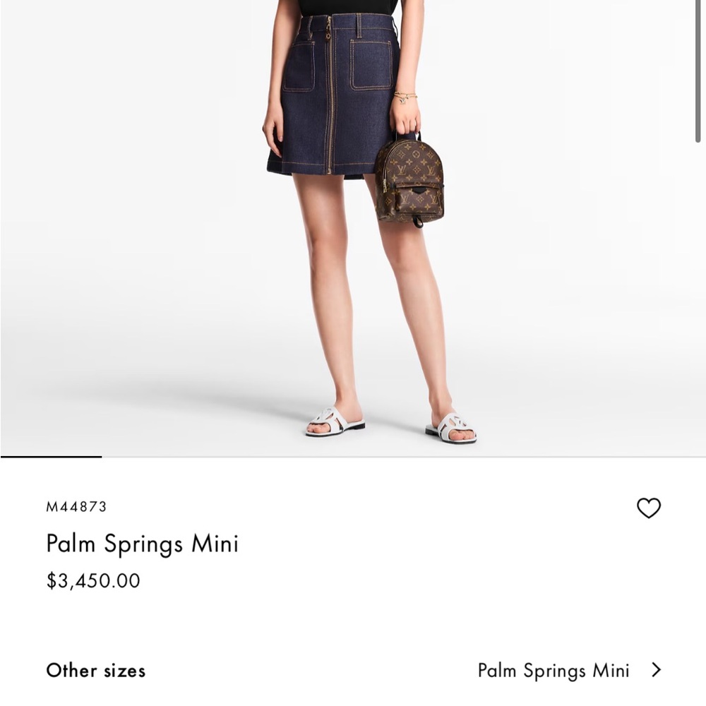 Louis Vuitton M44873 Palm Springs Mini - Picture 2 of 13